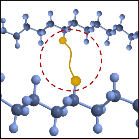 Diazirine crosslinkers form bonds across polymer chains