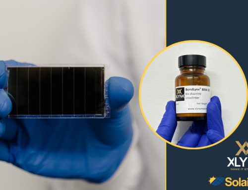 Solaires and XLYNX collaborate to build high efficiency perovskite solar cells