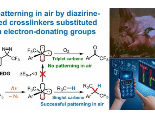 Photopatterning with diazirine crosslinkers
